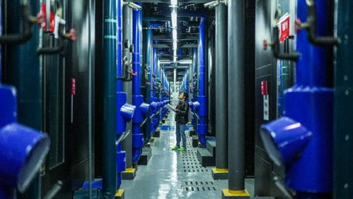 五部门联合发力，加快构建全国一体化算力网，赋能物联网技术新飞跃